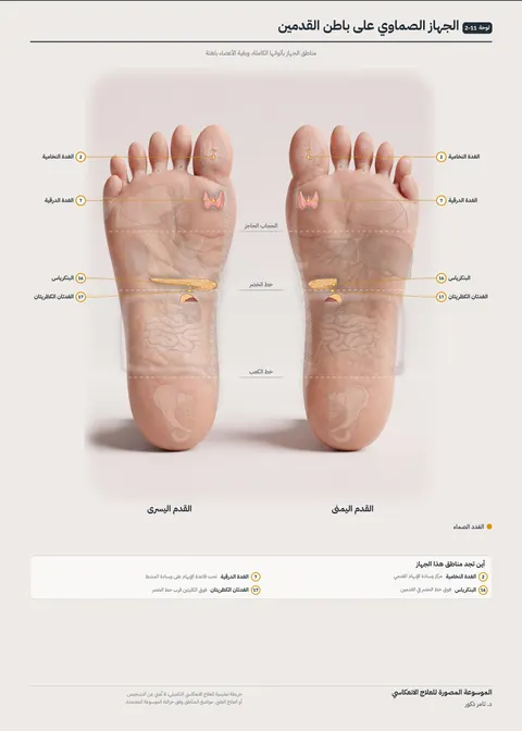 بوستر القدمين 11