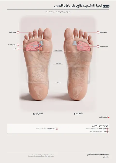 بوستر القدمين 12