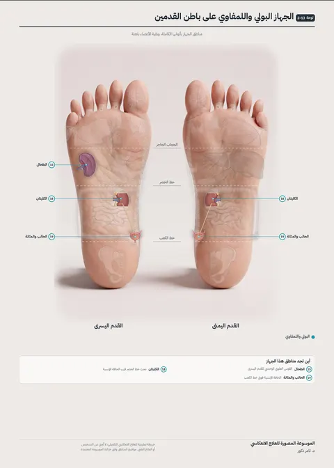 بوستر القدمين 13