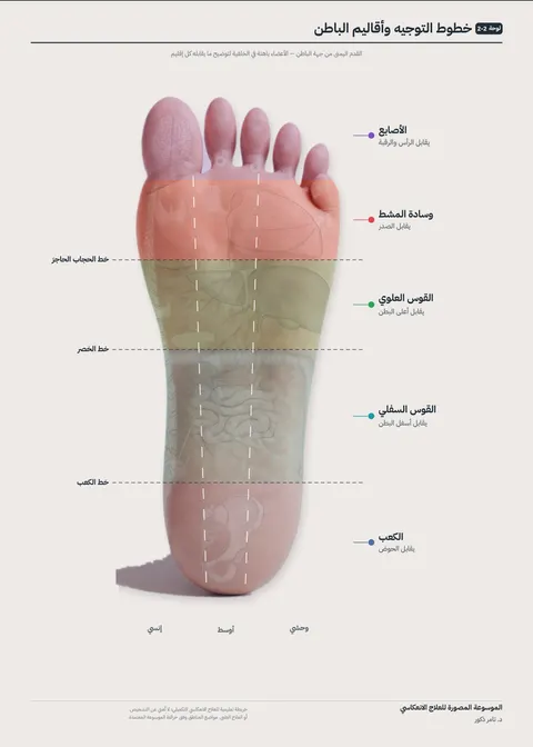 بوستر القدمين 2