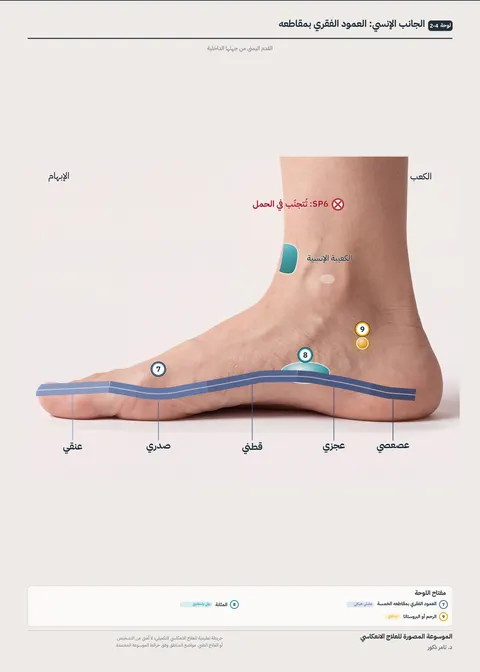 بوستر القدمين 4