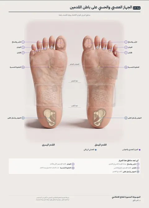 بوستر القدمين 9